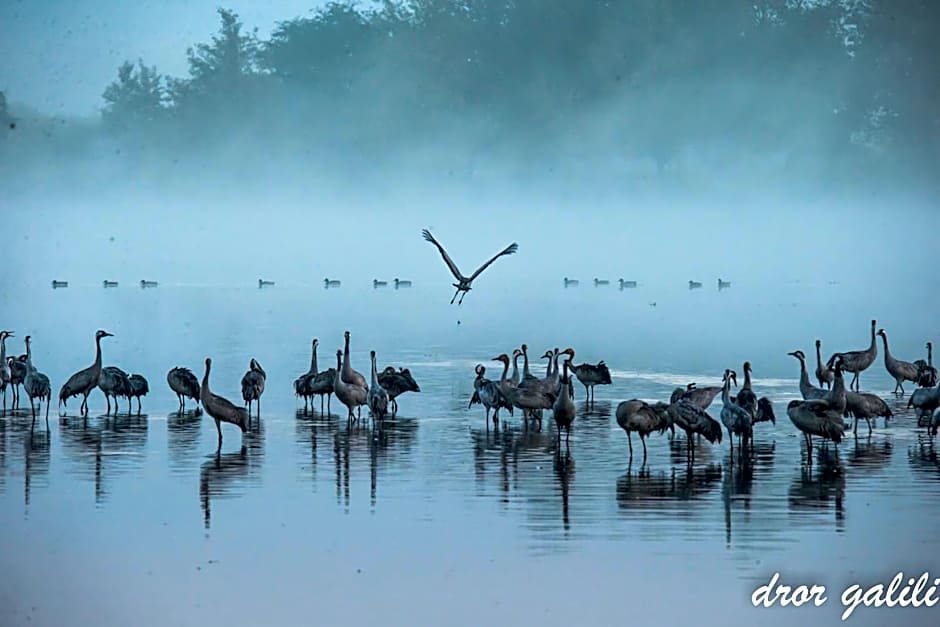 Pastoral Hotel - Kfar Blum