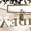 Trullidea