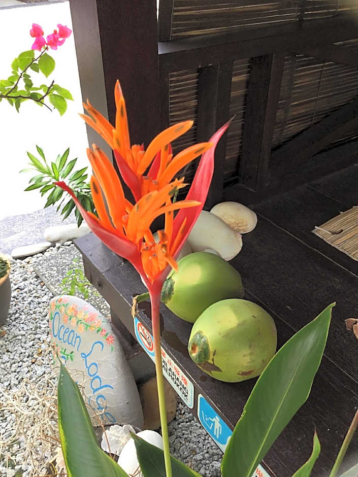 Ocean Lodge Langkawi