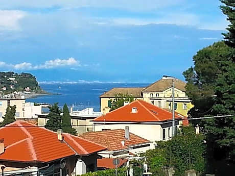 Single Room with Shared Bathroom