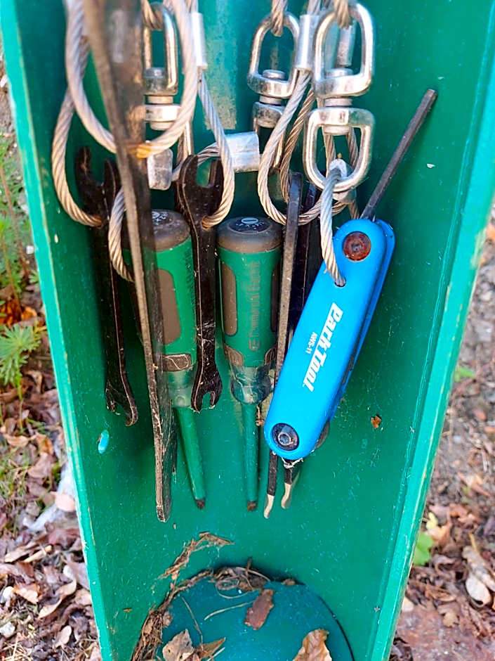 The Blue Bell Pub and Rooms