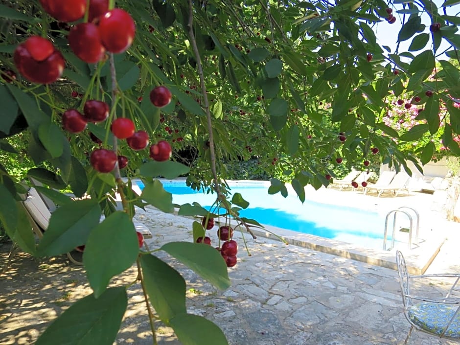 Hotel Kalehan