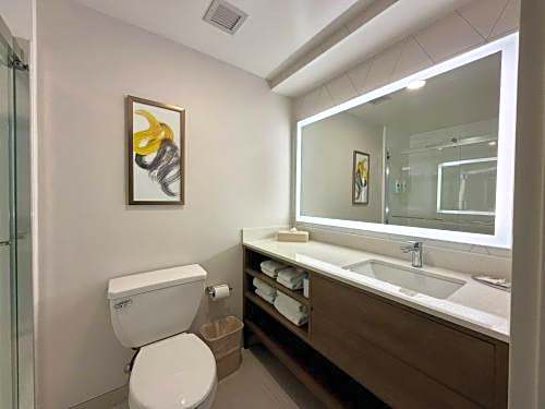 Comfort Inn & Suites Sturbridge-Brimfield