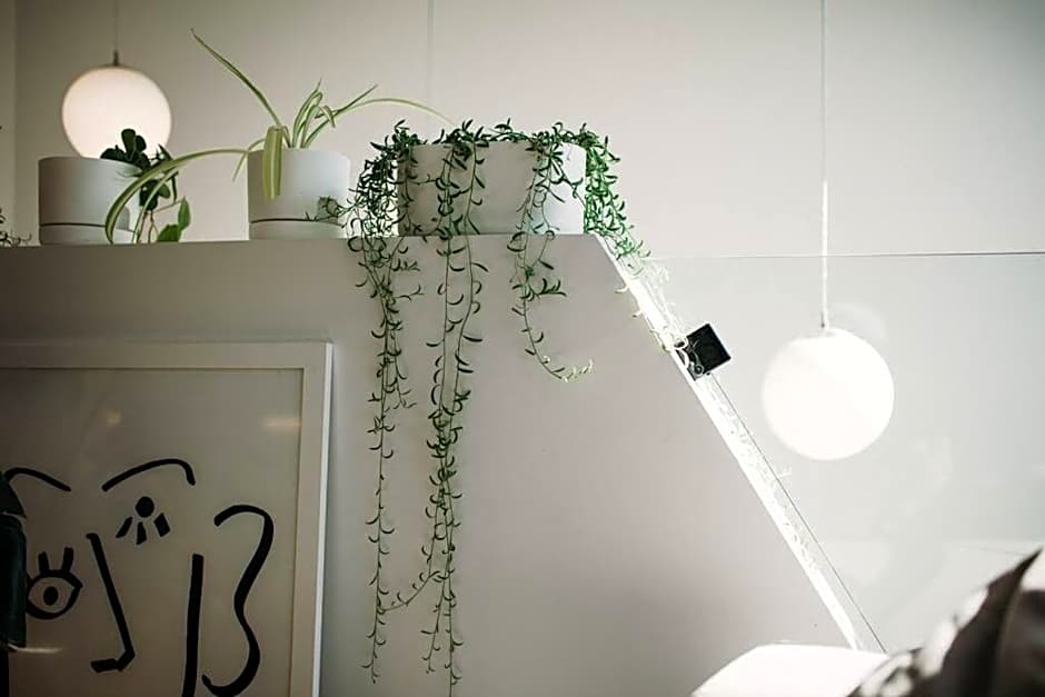 Le Duplex St-Sauveur, Maison entière