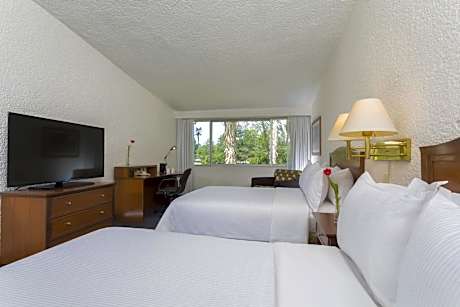 Double Room with Two Double Beds