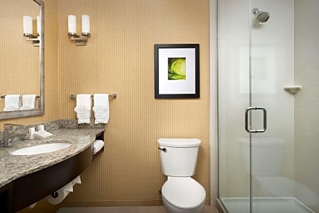 1 King Mobility/Hearing Accessible W/ Bathtub