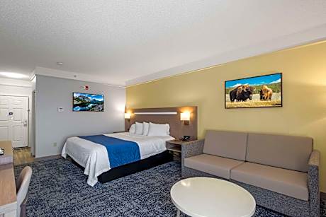 1 King Bed Non-Smoking Larger Room Sofabed Sitting Area Microwave Fridge Wi-Fi Full Breakfast