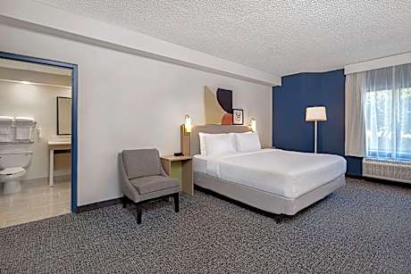 1 King Bed Mobility Accessible With Bathtub