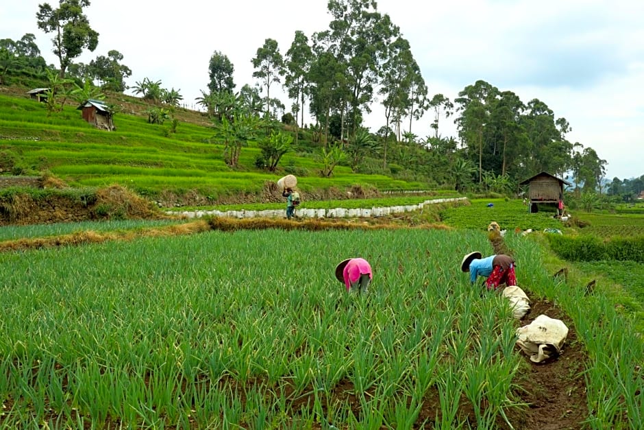 OYO Homes 90991 Eco Tourism Desa Panundaan Ciwidey 2 Syariah