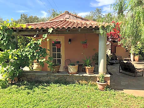 Domaine Le Clos des Oliviers