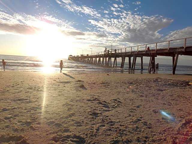 Shingo's Backpackers