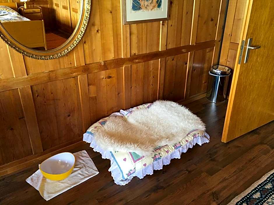 Wohlfühloase für Mensch und Hund