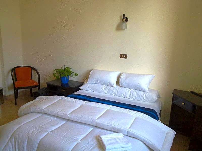 Transit Alexandria Hostel