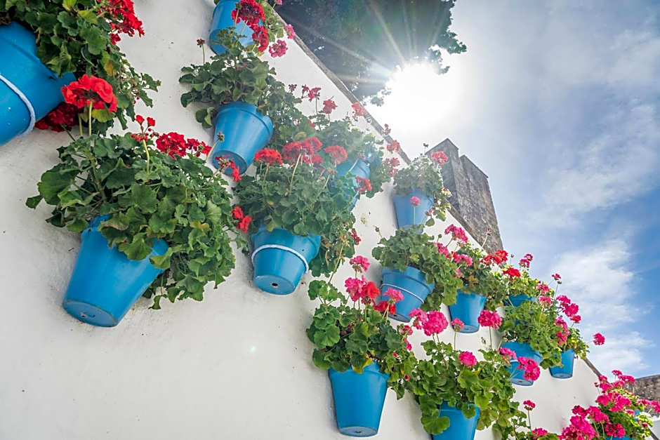 Ã“bal Hotel Marbella