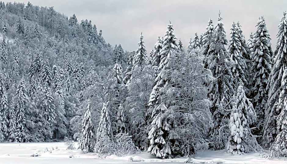La Ferme de Jean entre lacs et montagnes