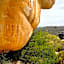 Kagga Kamma Eco Lodge & Spa