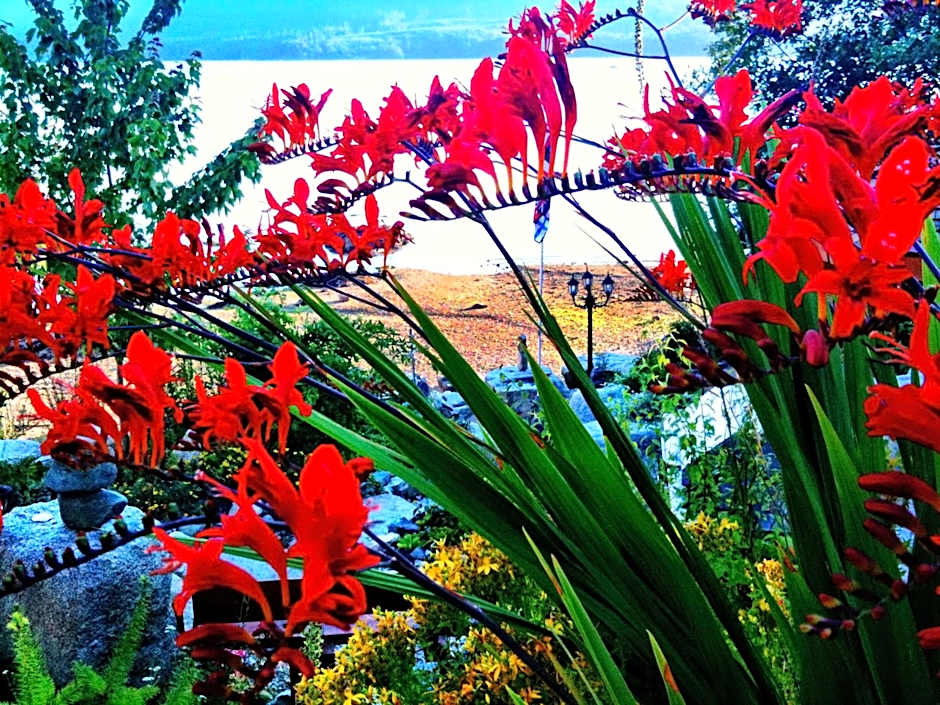 The Tuwanek Bed and Breakfast