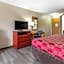 Econo Lodge Inn & Suites Dickson