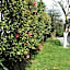 Bed & Breakfast Gli Oleandri