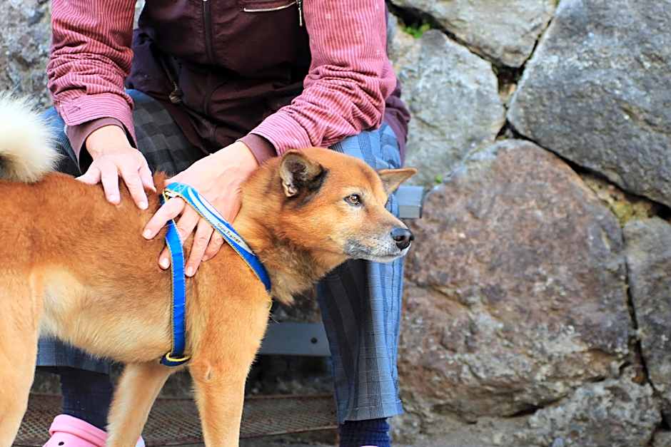 Beppu Kannawa Onsen HIROMIYA