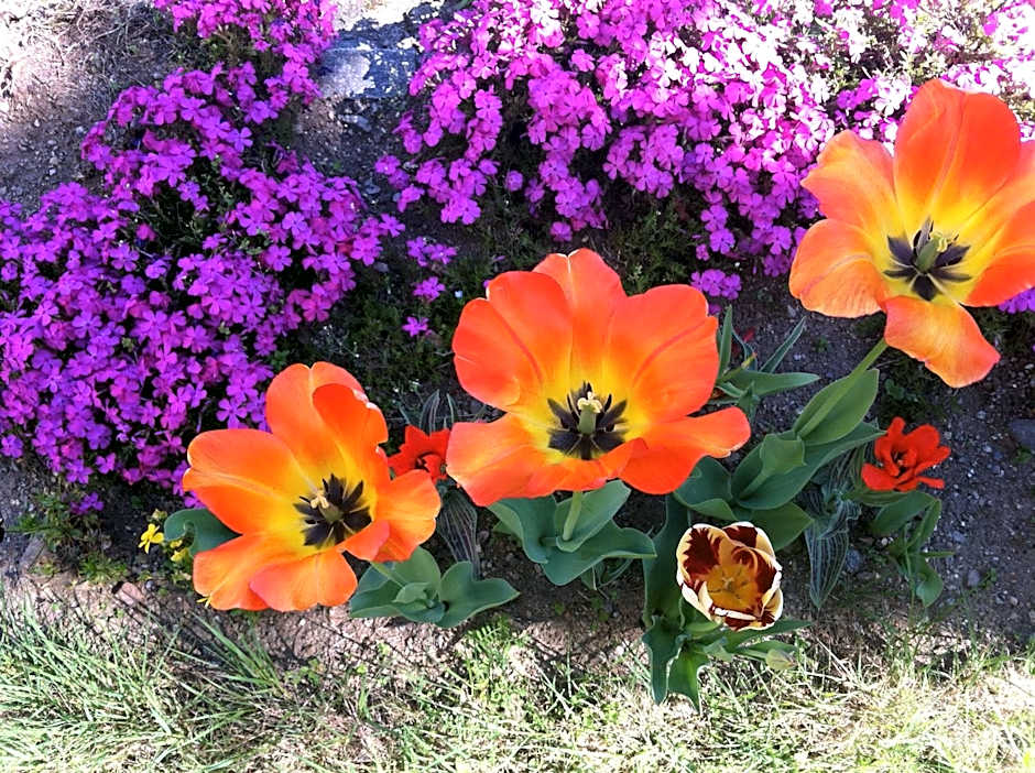 Hotel Garni Rivabella au Lac