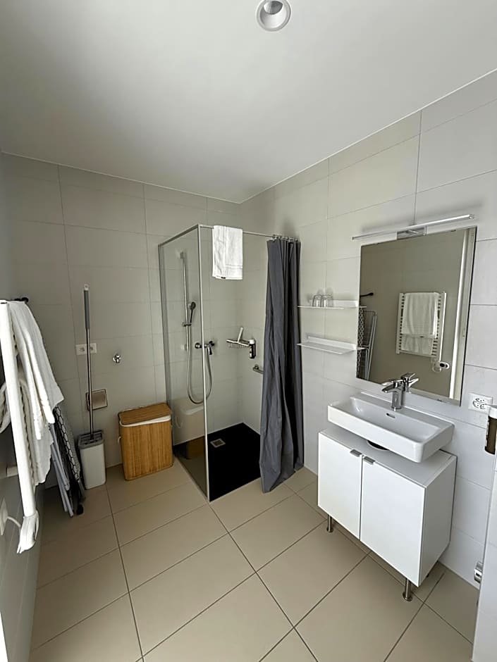 Alp Art Hotel Monthey