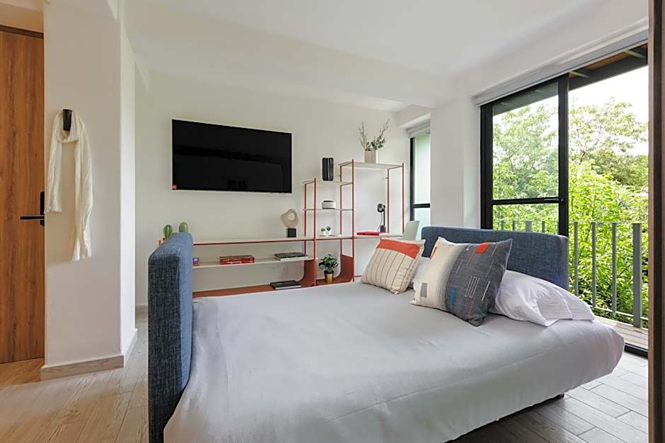Choapan 28 - Lux Apartments in Condesa