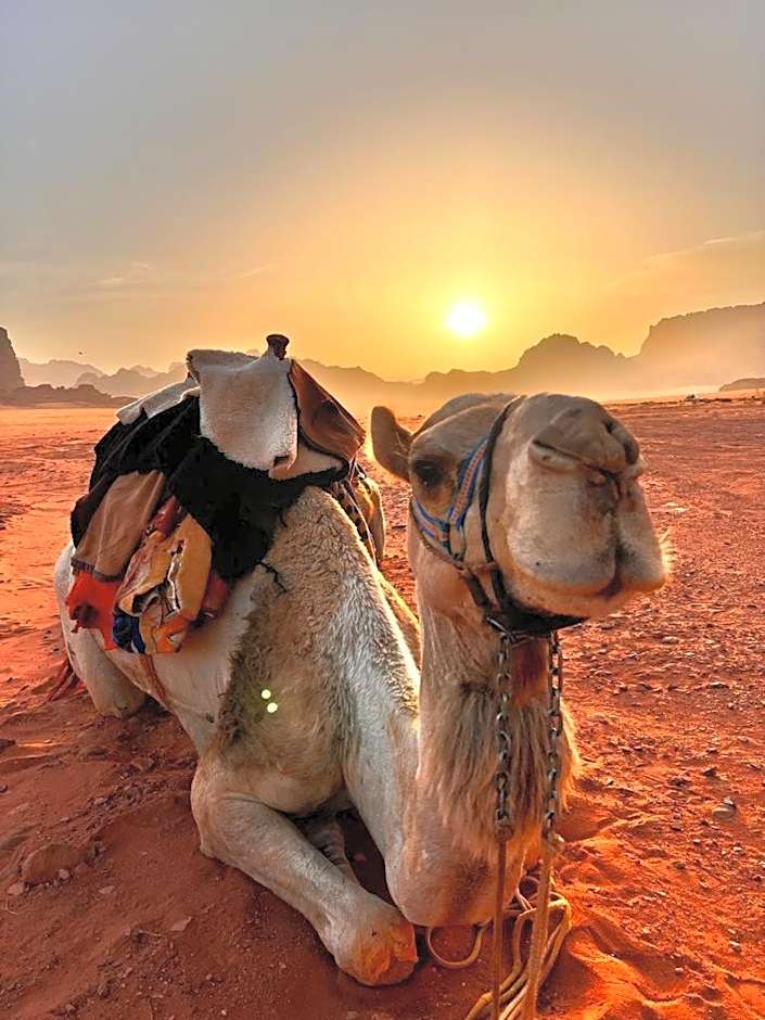 Wadi Rum Desert Tours and Glamping with Hussein