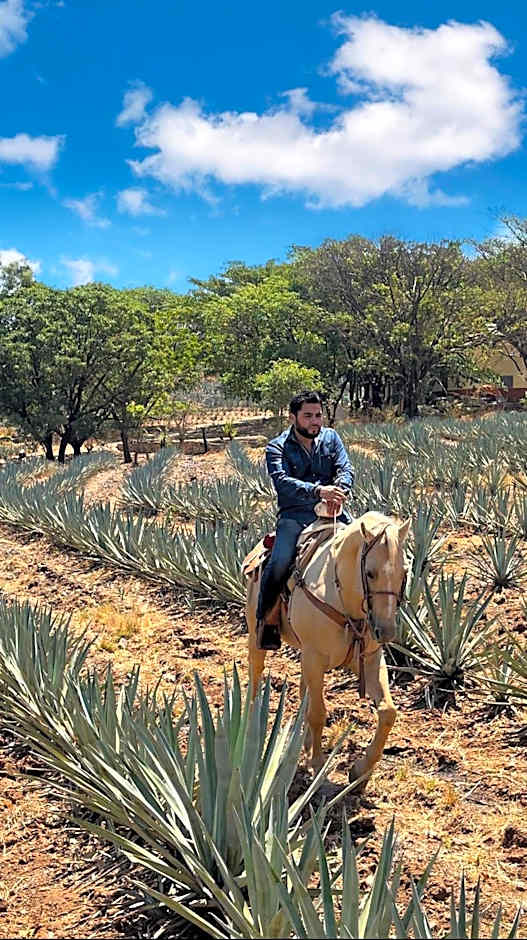 Matices Hotel de Barricas