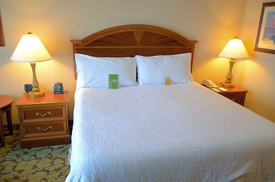 Hilton Garden Inn Houston Westbelt