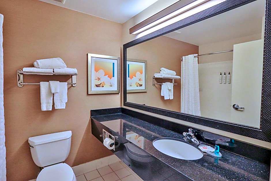 Comfort Inn & Suites Houston North - Spring