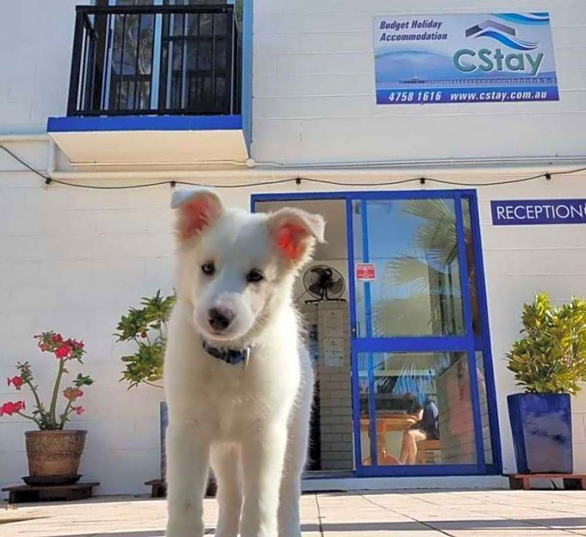 Cstay Motel