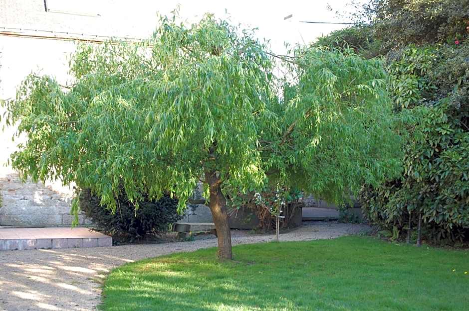 Logis Hotel L'europe