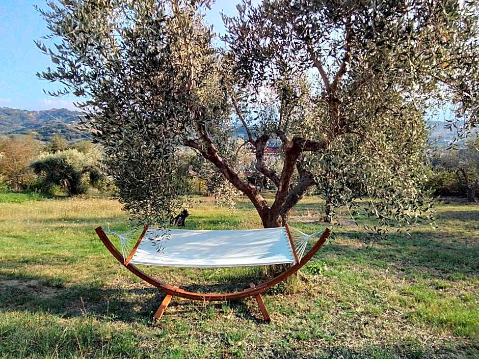 La Casa delle Storie