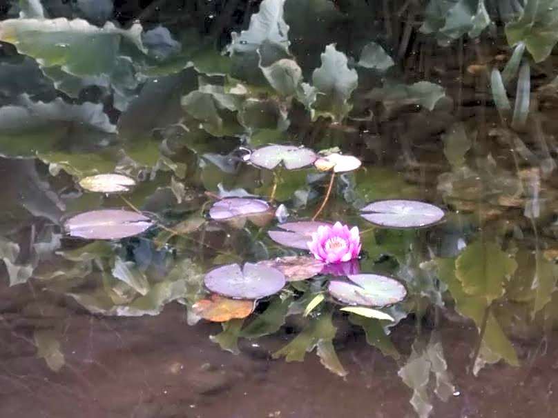 Awatuna Sunset Lodge