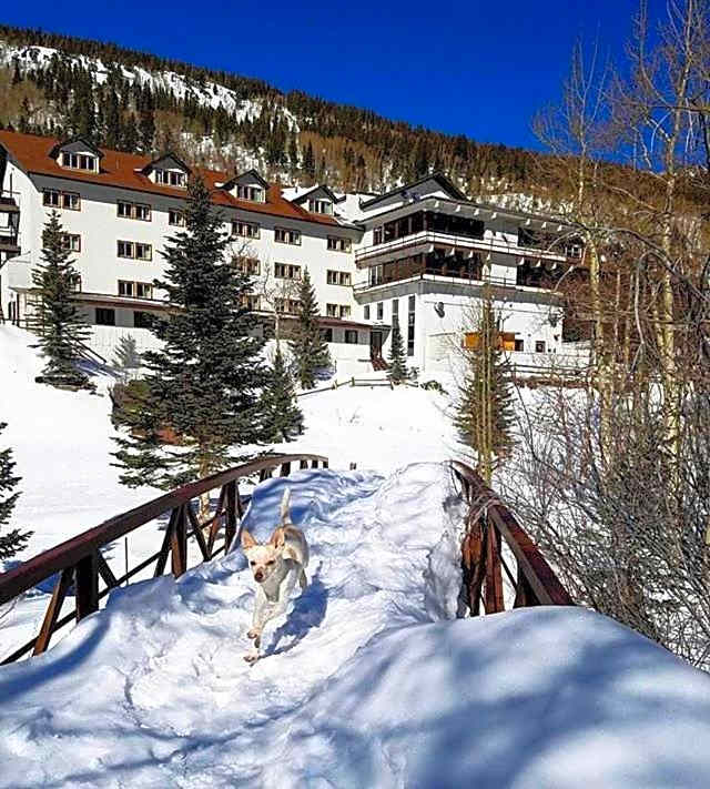 Monarch Mountain Lodge