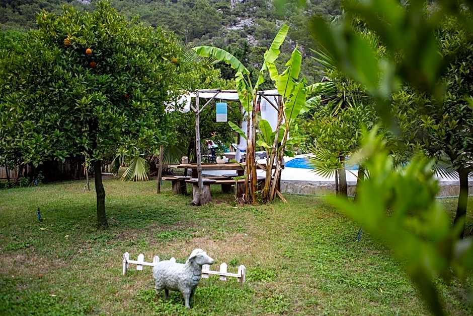 Portalimo Lodge Hotel - Adult Only +12