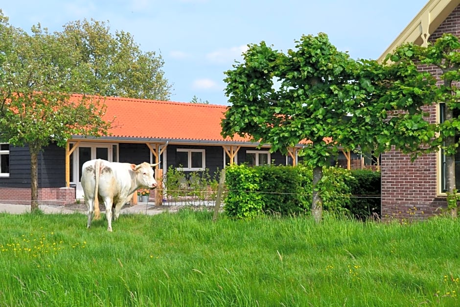 B&B de Boerenzwaluw