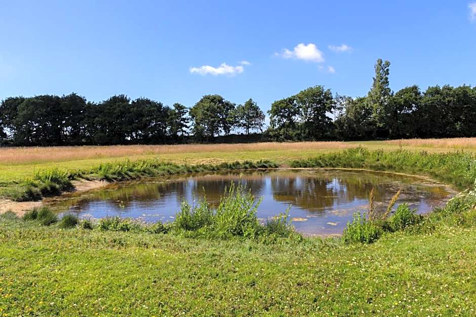 Little Creek - Lodges in het natuurgebied