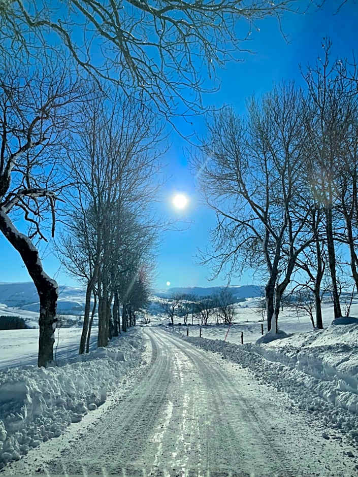 Auberge du Cezallier