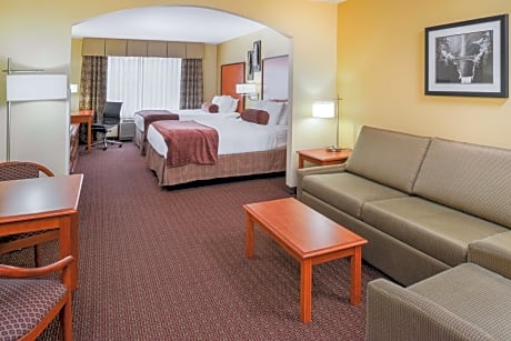 Suite-2 Queen Beds Non-Smoking Sofabed For One Person Microwave Fridge Wi-Fi Full Breakfast