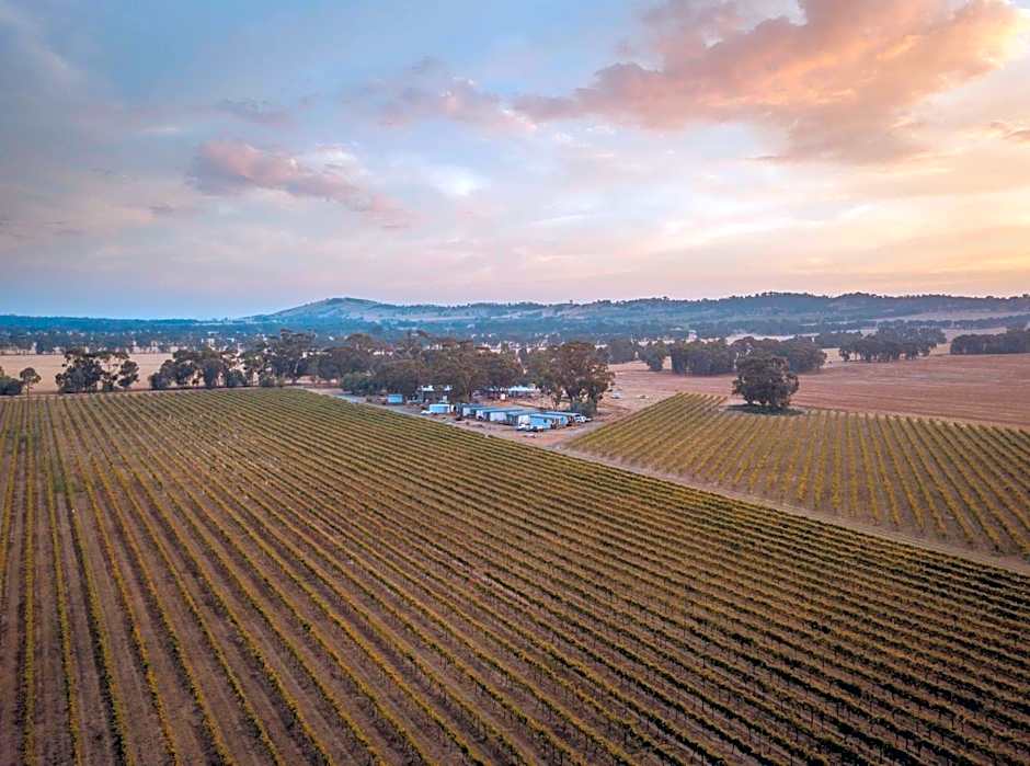 Vineyard Views at Shiraz Republic