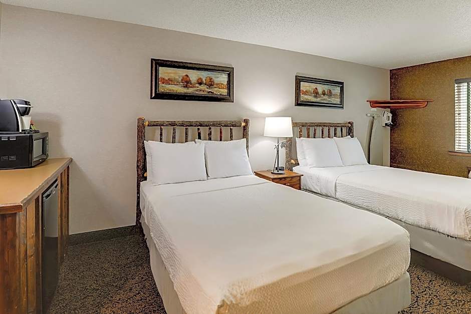 Stoney Creek Hotel & Conference Center - St. Joseph