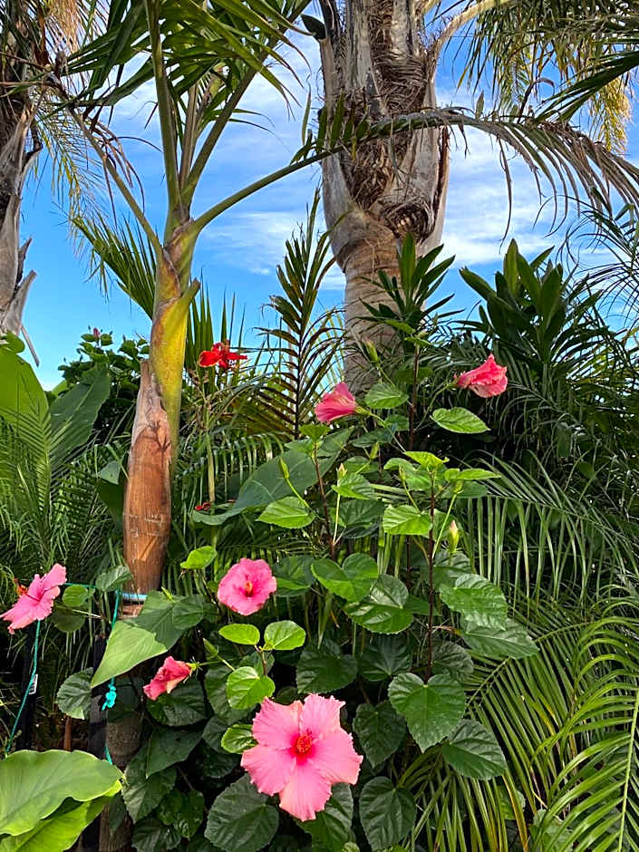 Palm Garden Papamoa Beach Paradise