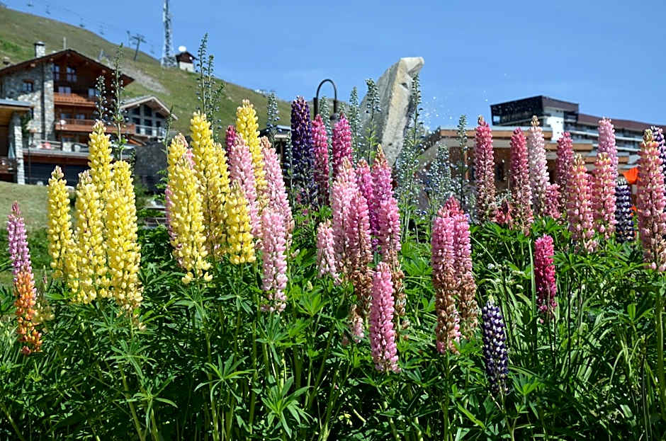 Résidence Santa Terra