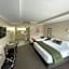 Kauri Court Motel and Apartments