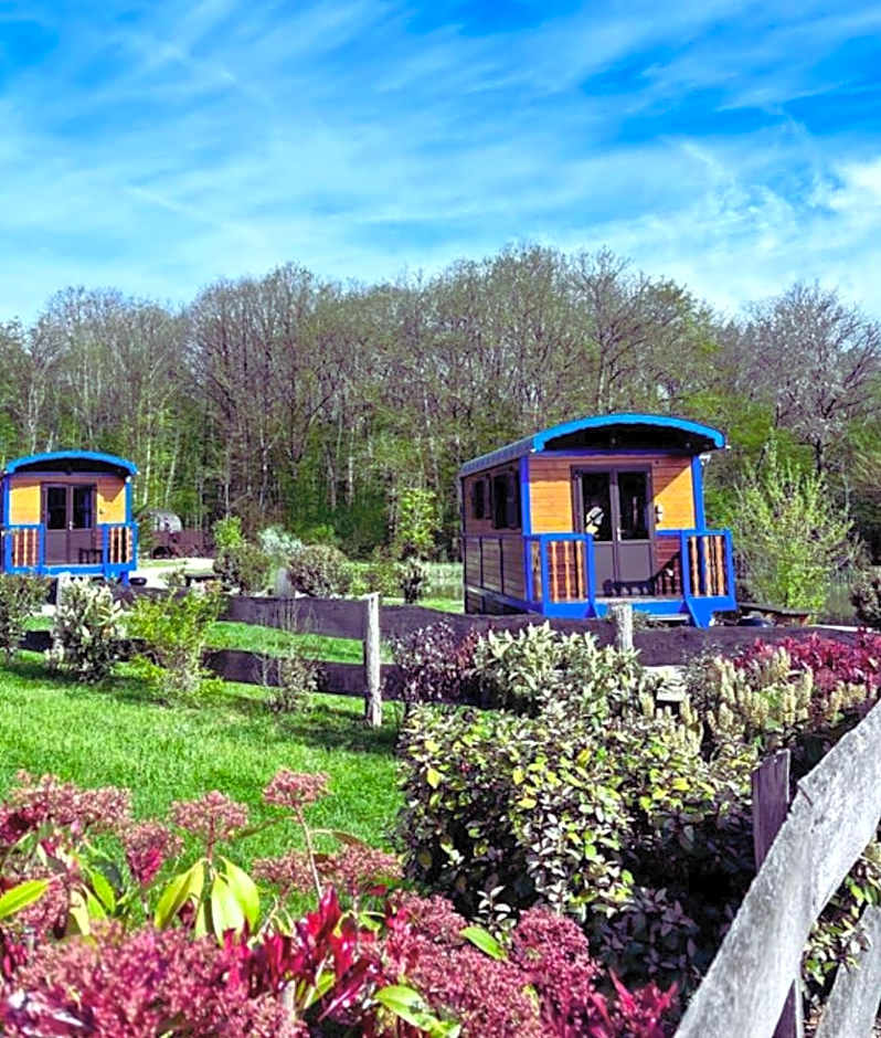 SAS Le Hameau des Grilles