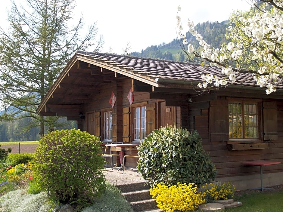 Salzano Basic Rooms Interlaken