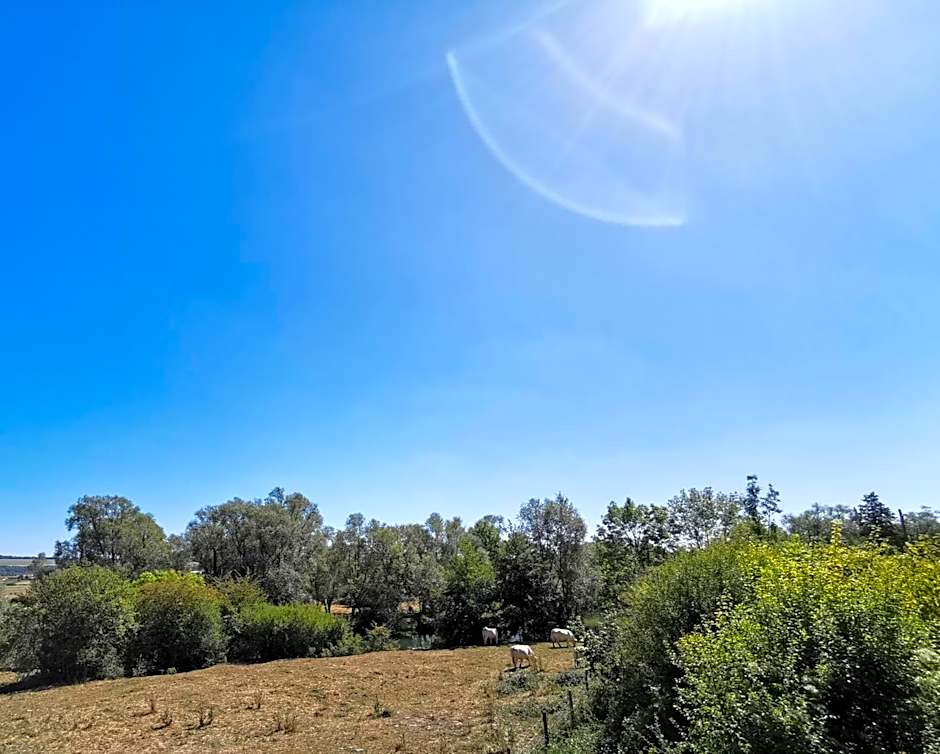 La Table Des Bons Peres