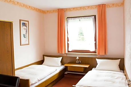 Budget Twin Room